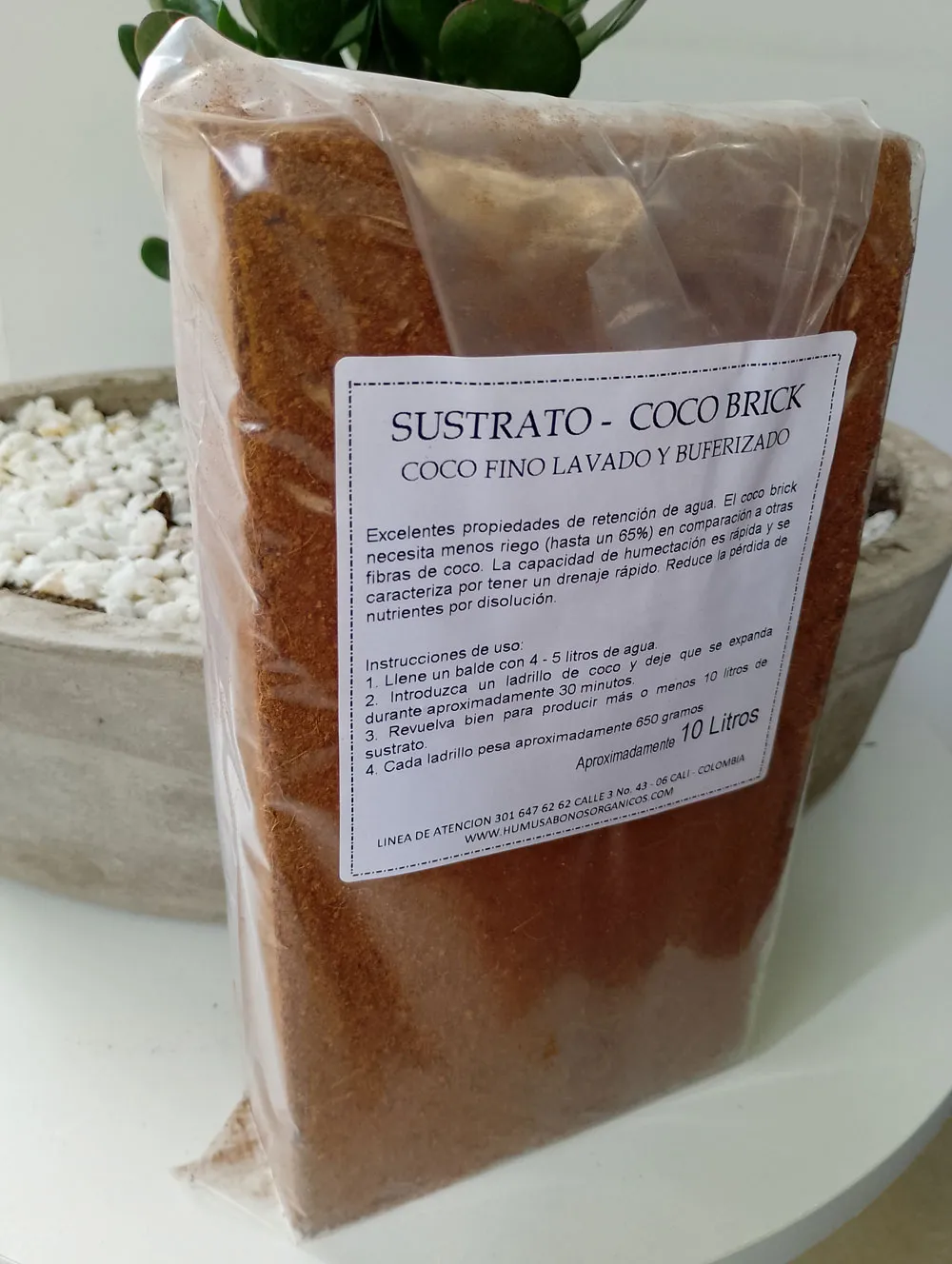 Coco Brick